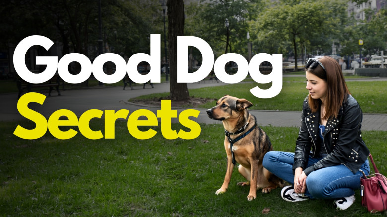 Good Dog Secrets – Calm & Obedient Dog in 2 Weeks