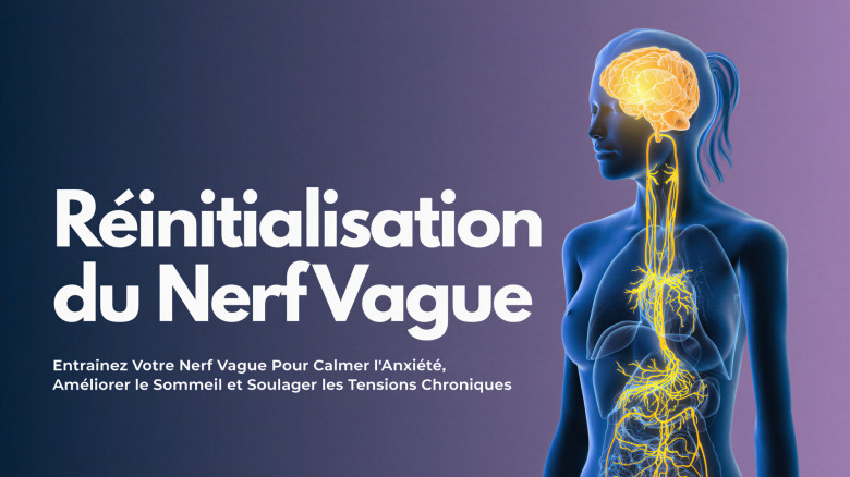 Réinitialisation du Nerf Vague: Entraînez Votre Nerf Vague Pour Calmer l'Anxiété, Améliorer le Sommeil et Soulager les Tensions Chroniques