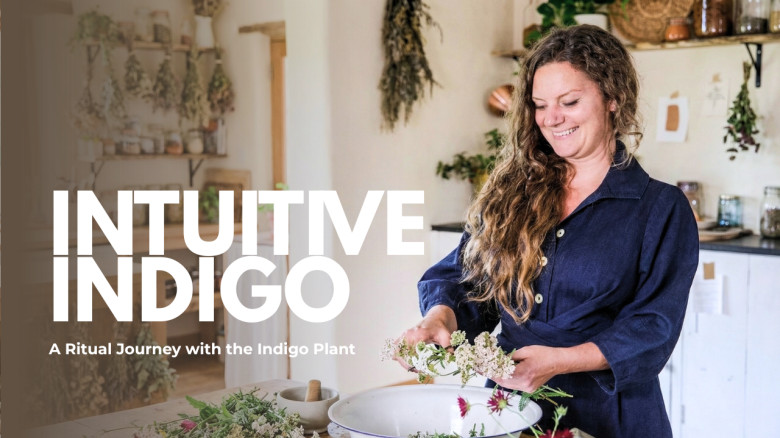 Intuitive Indigo: A Ritual Journey with the Indigo Plant